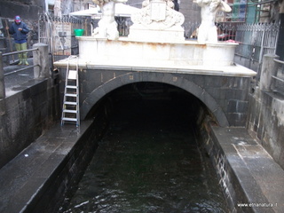 Fontana dell Amenano